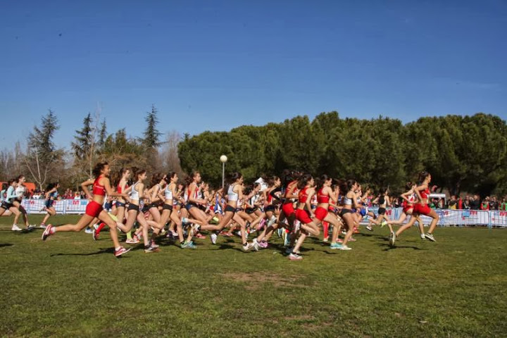 Tres Atletas Navarros participaron en el Campeonato de Espa&ntilde;a Escolar de Campo a Trav&eacute;s